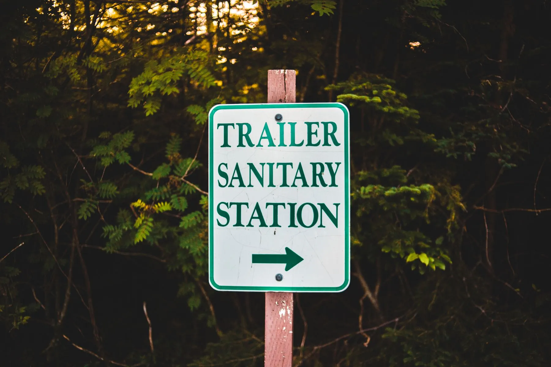 A brown directional sign for a trailer sanitary dump station in front of a forest
