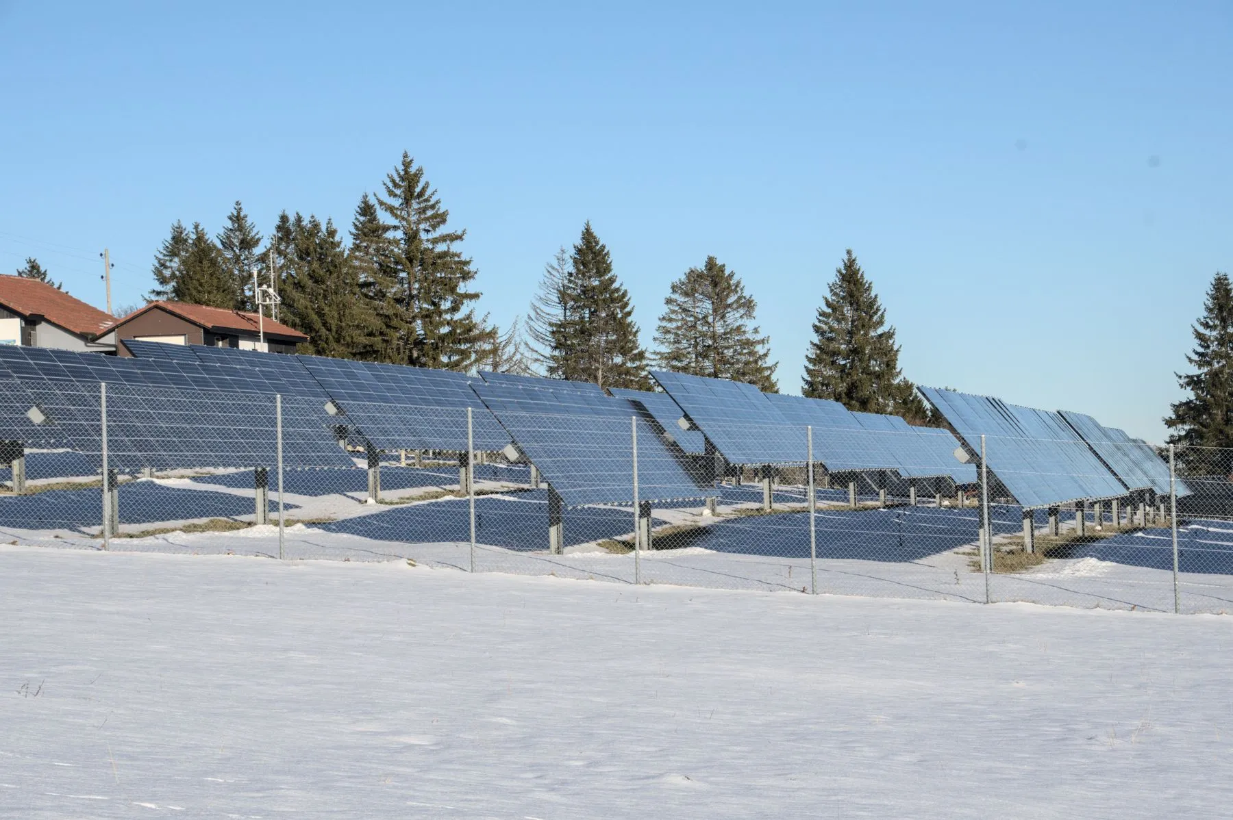 Rows of ground-mounted solar panels in a snowy field with evergreen trees behind